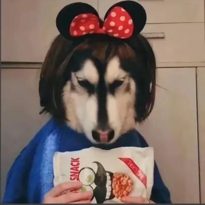 化骨龙