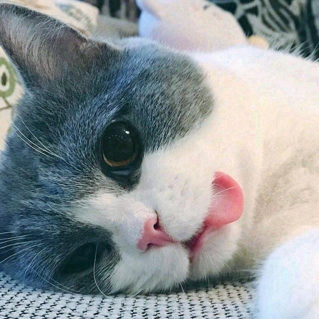 李知恩（王者荣耀）@抖音