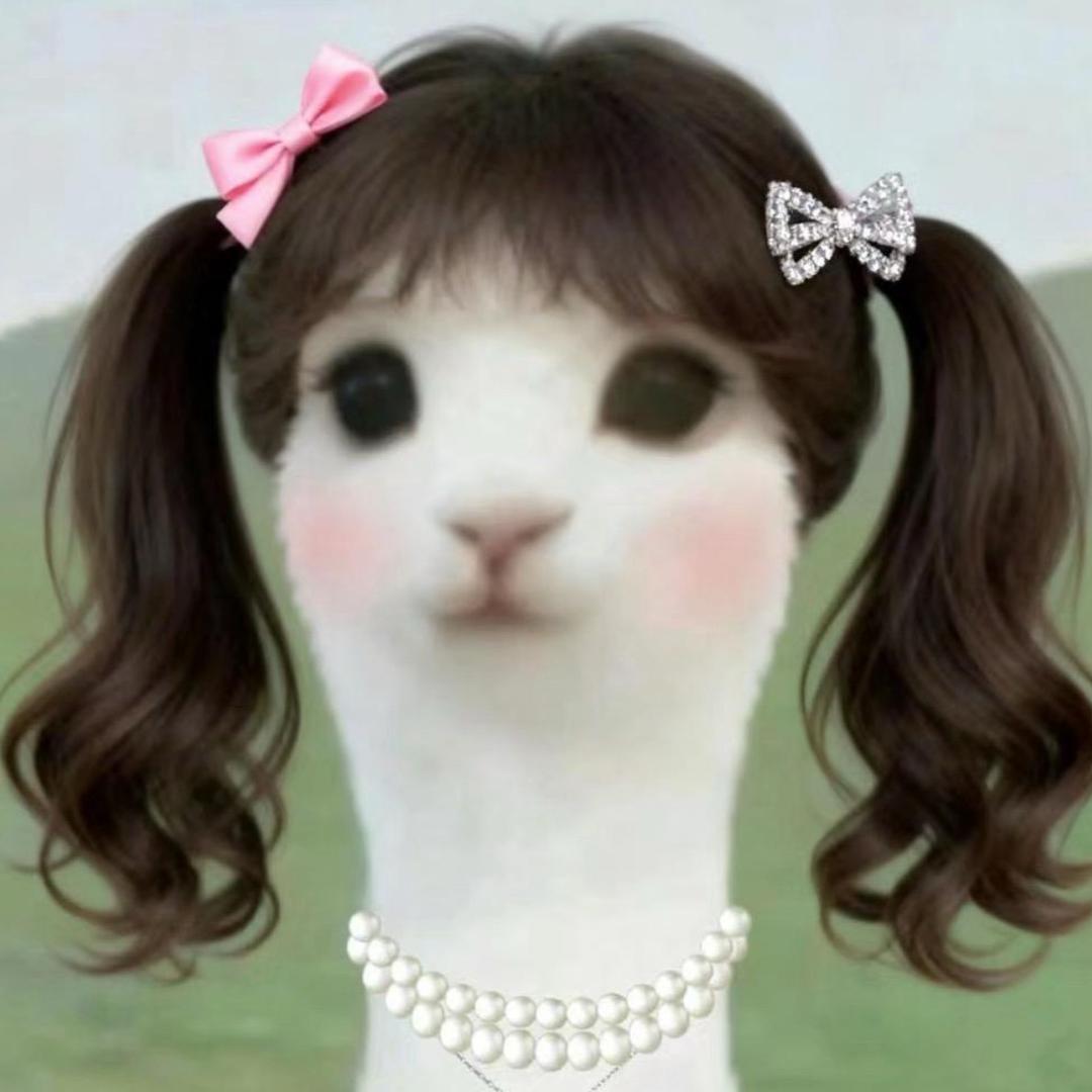 狂暴胖猫（恩师瑶）