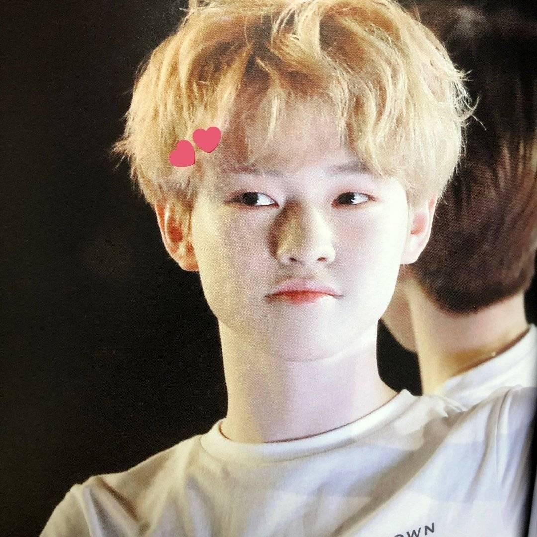 阿尼阿尼阿尼啊