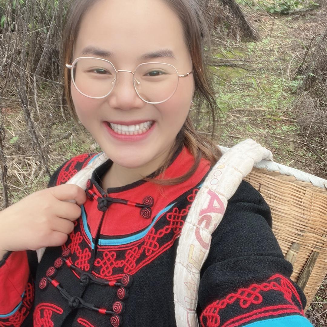 大山里的燕子