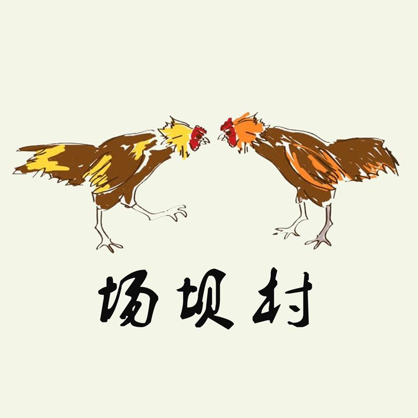 场坝大河口村足球队