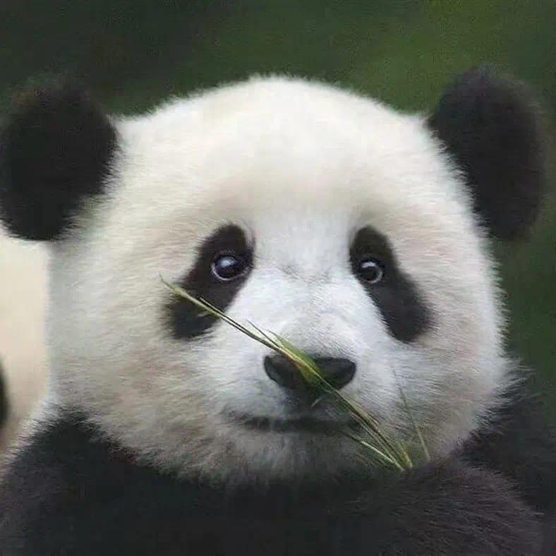 🌈修杆小峰（西安凤七）