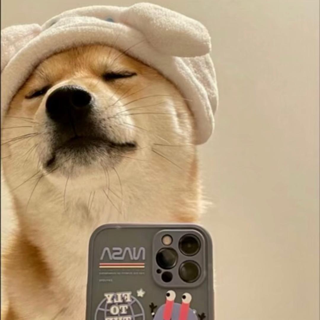 不留名     只有才