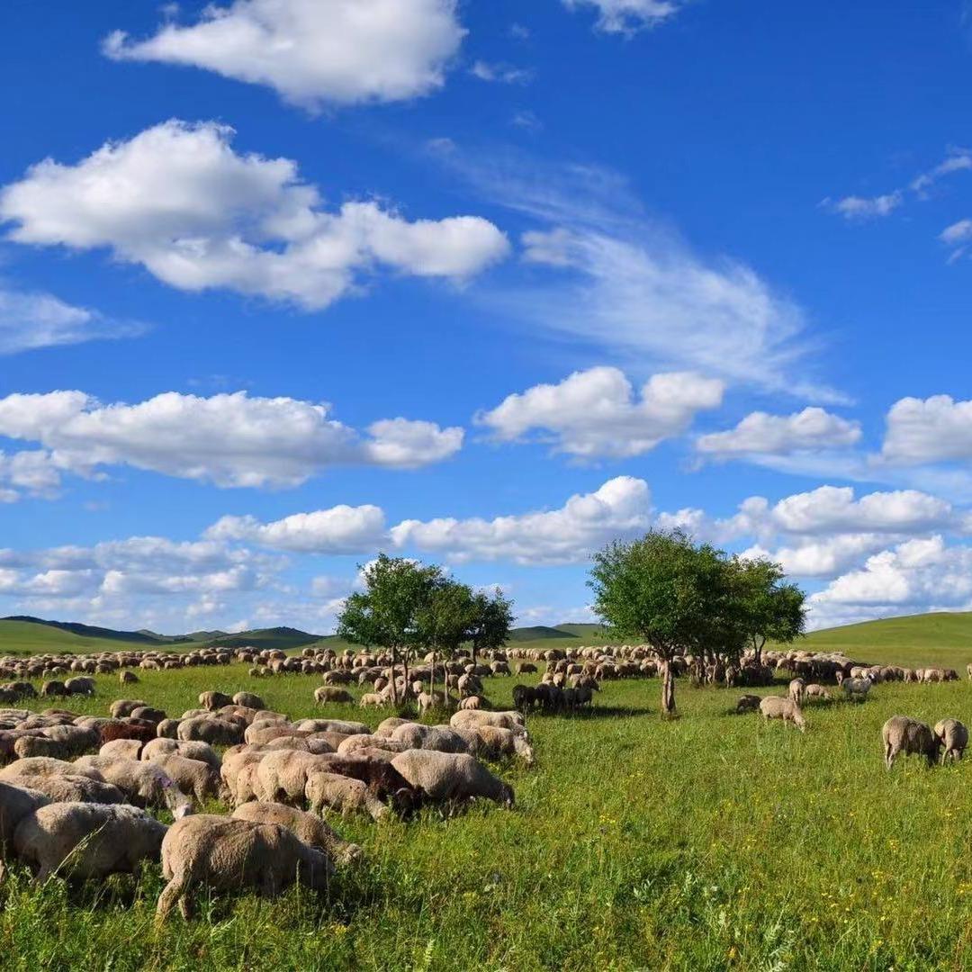 暖娇高端羊绒工厂店