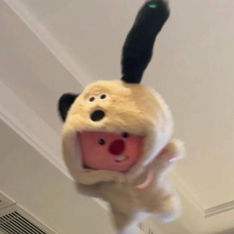 米米来啦