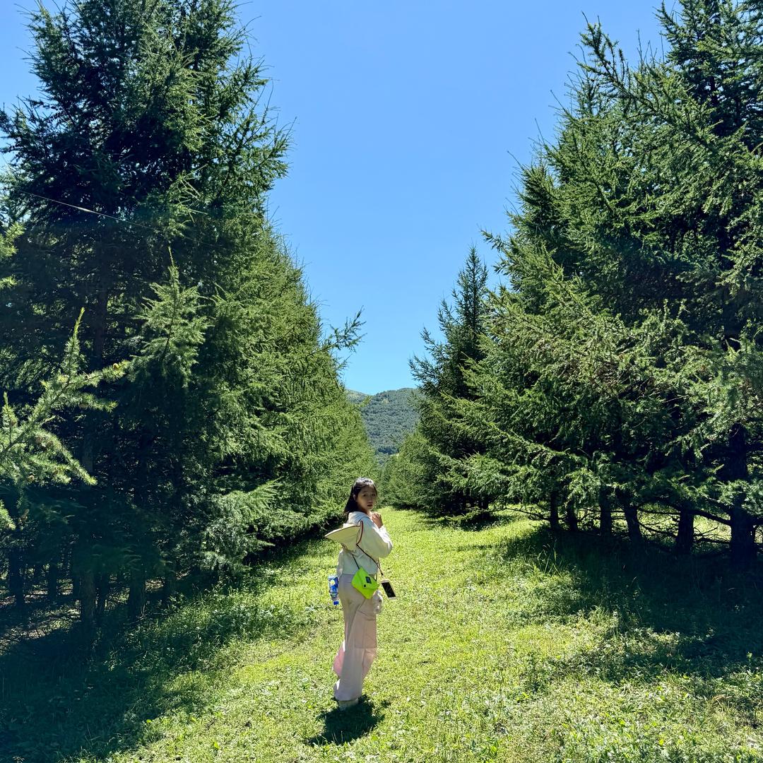 马卡龙时光机