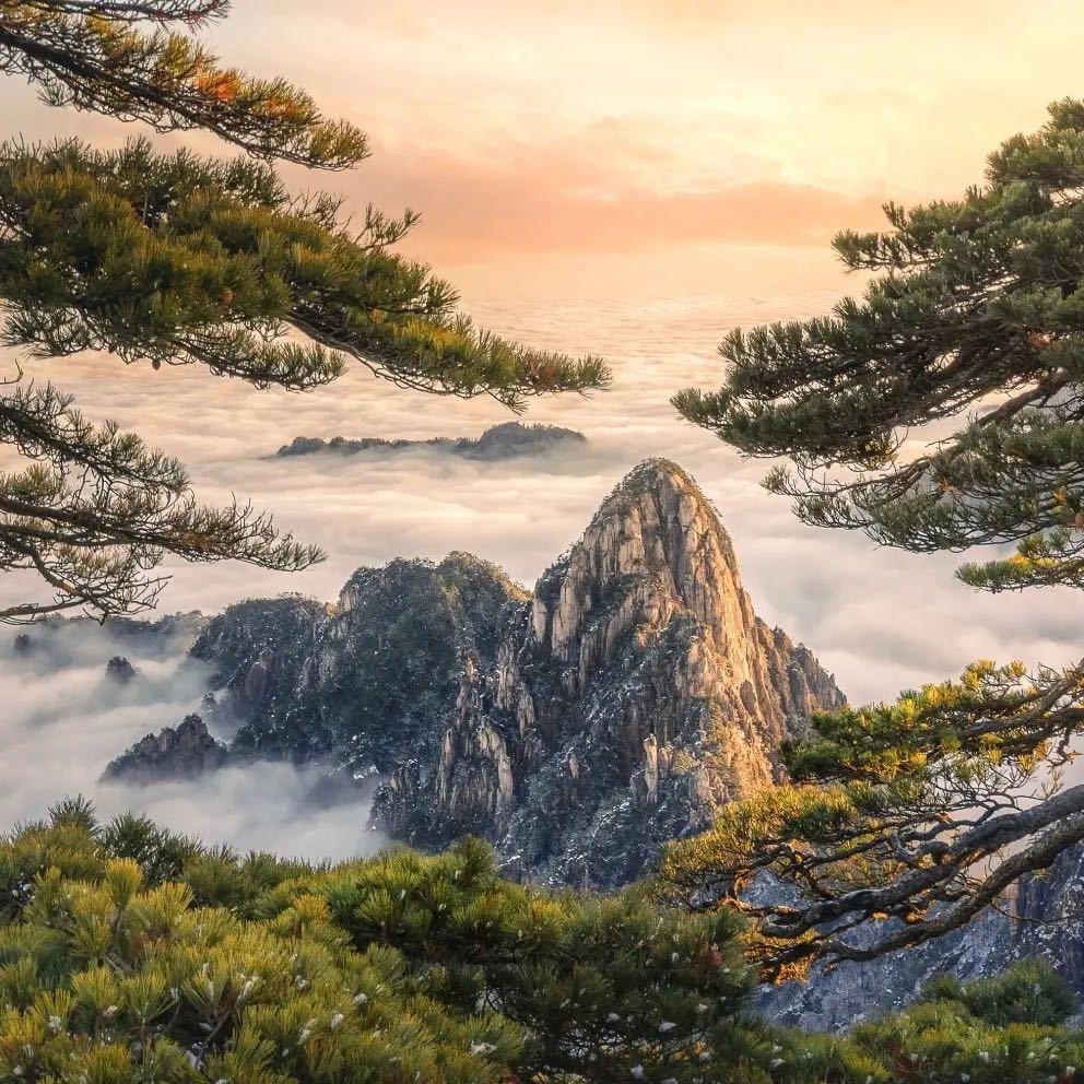 晋商王婆水果店焦个朋友