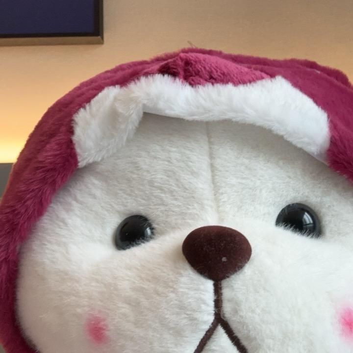 梓硕