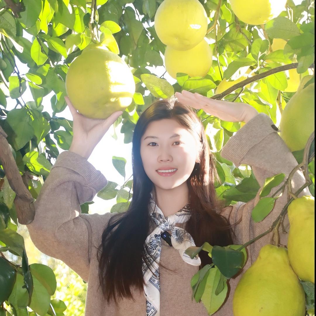 农产品燕子 （正宗江永老树香柚）