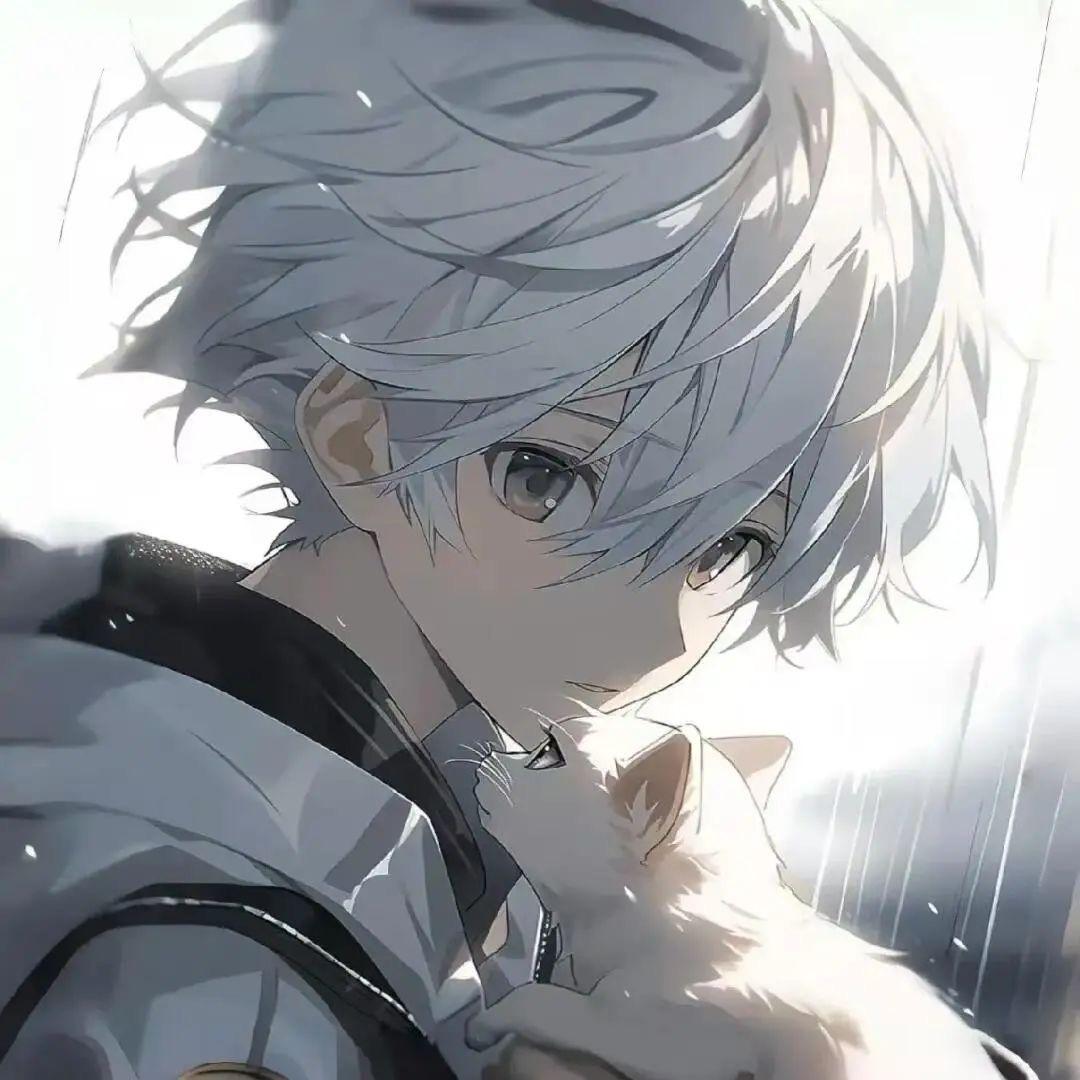 ……
