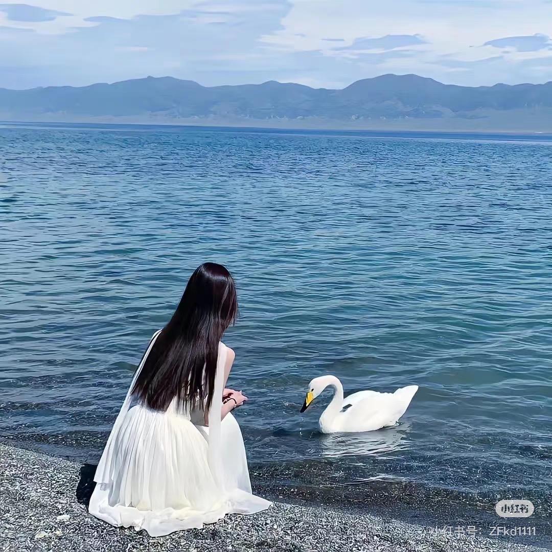 鑫馨🍀