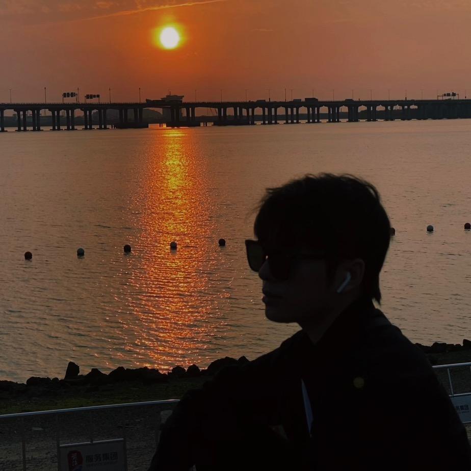 淘淘大王（开宠物店版）