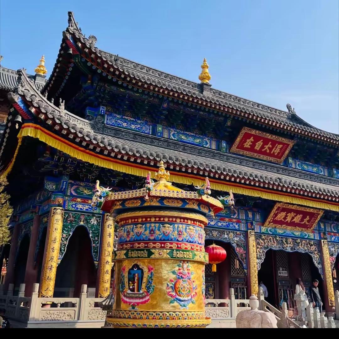 金灵 小店