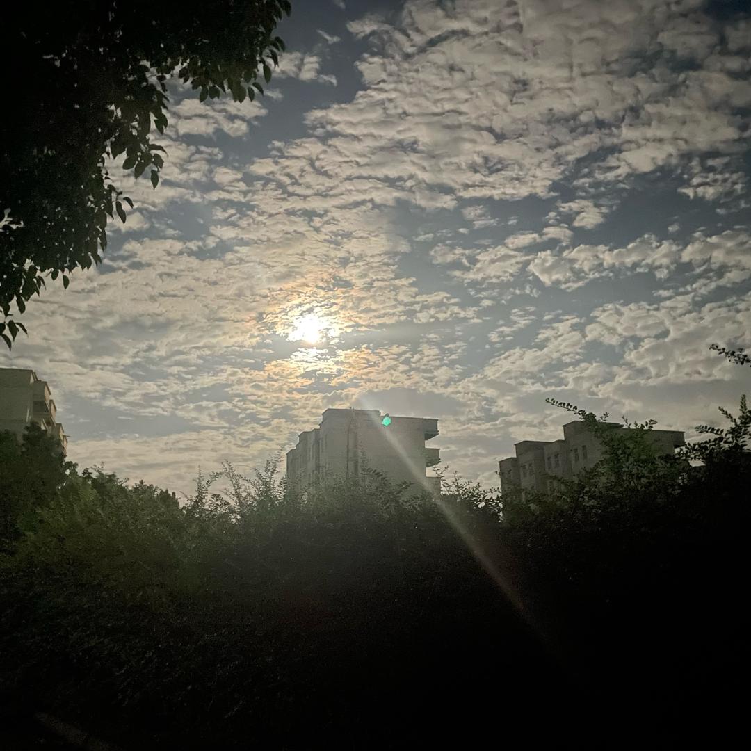花$