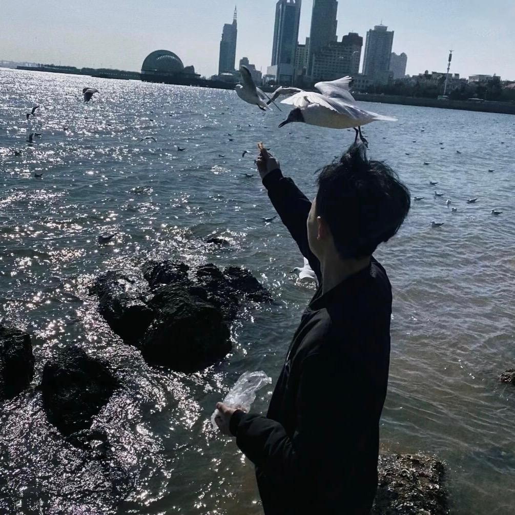悲伤大米饭