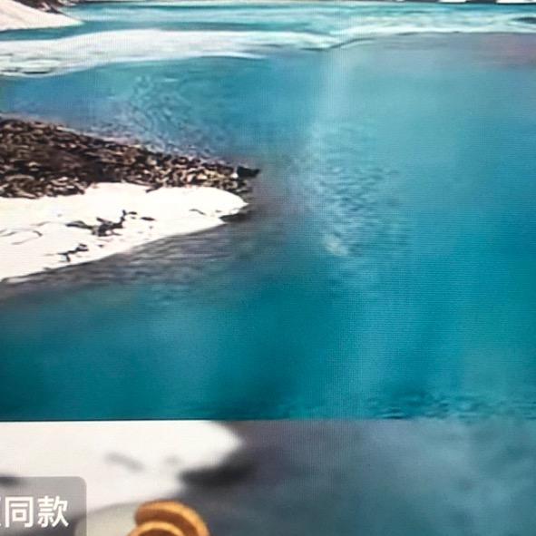 偶不