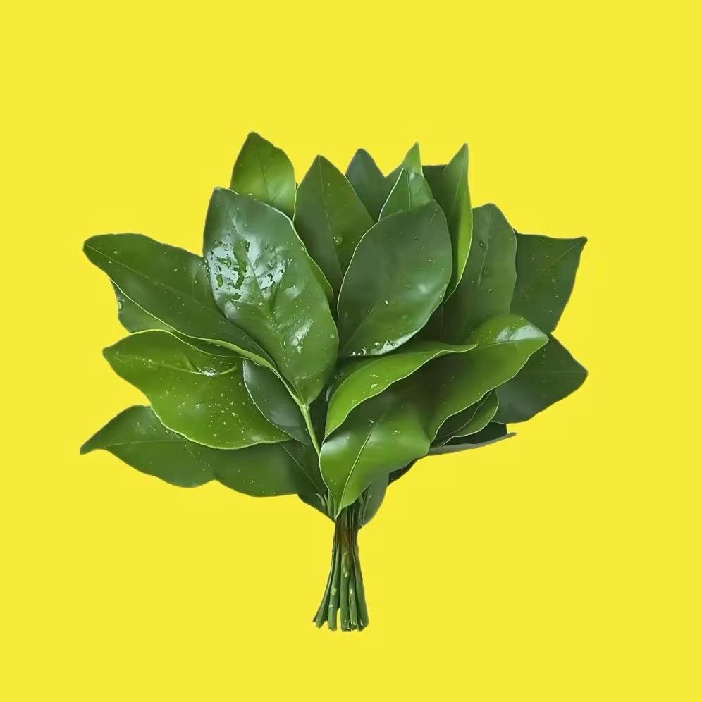 酸奶瓶子