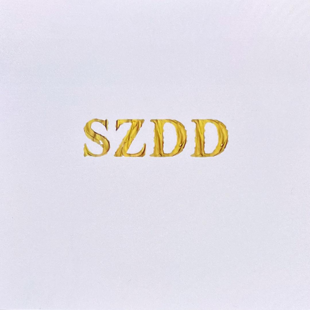 DDLR