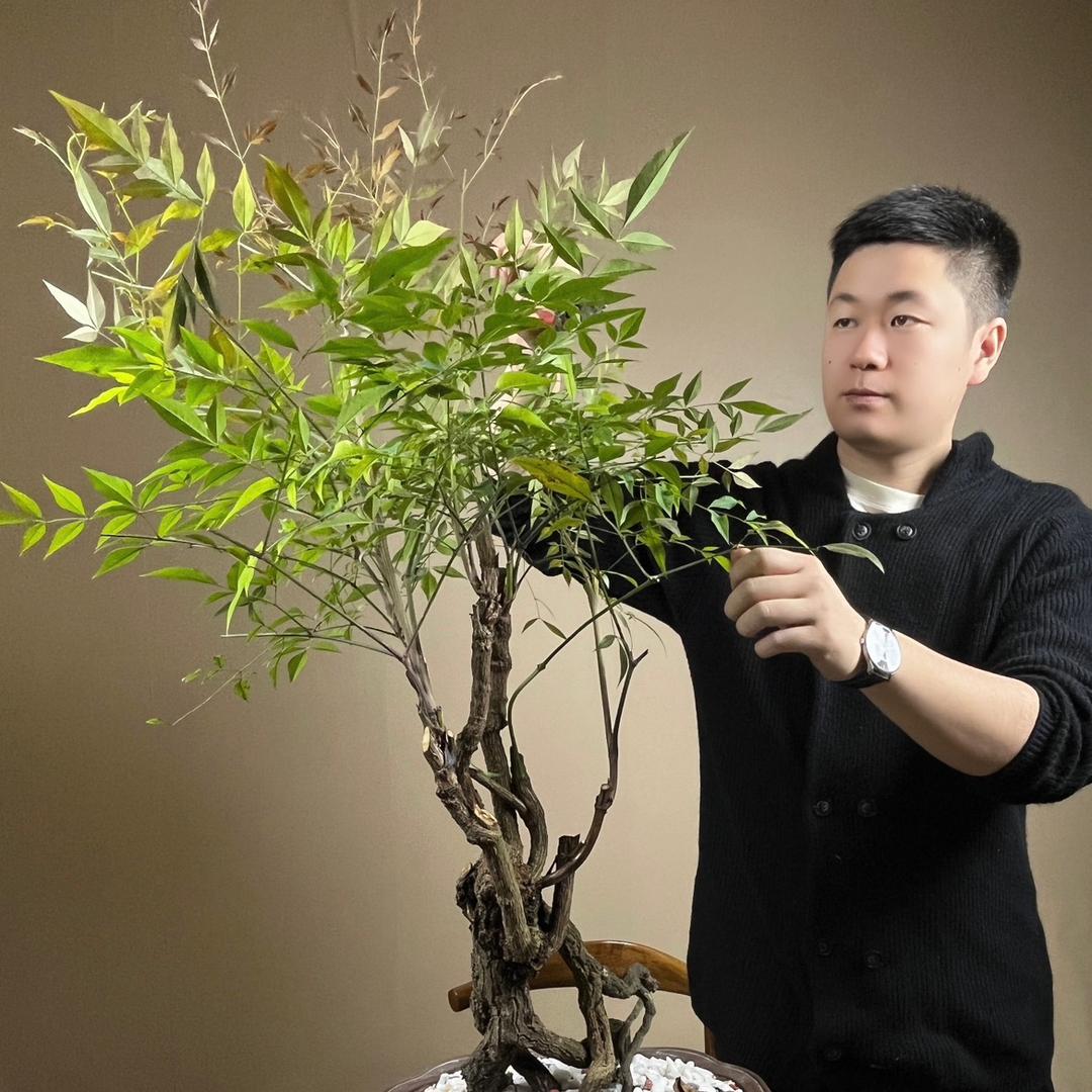 沐苒的花园