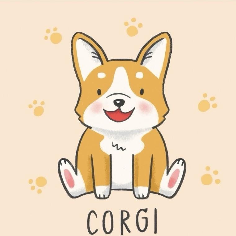 御宠阁宠物用品