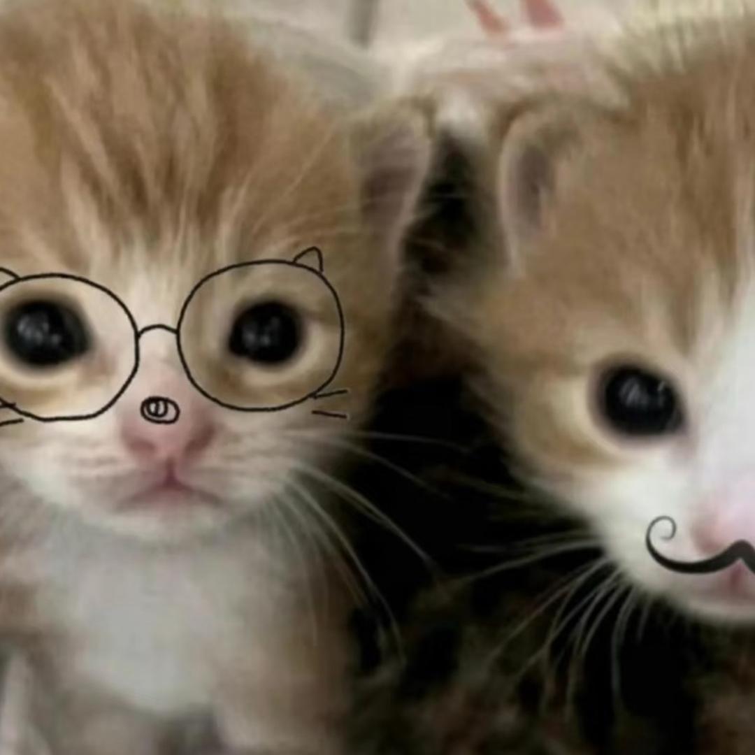 发呆到世界末日