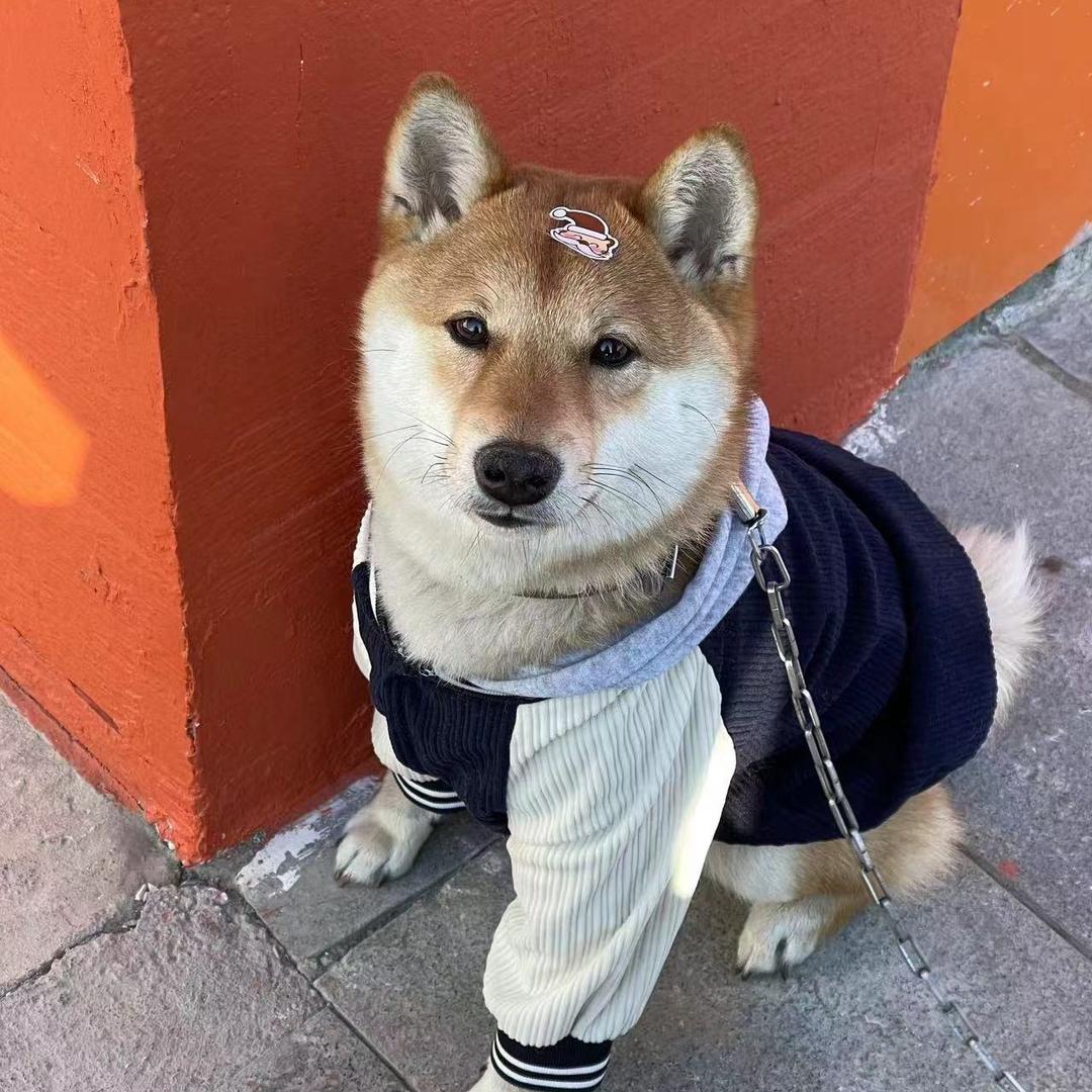 汝懿