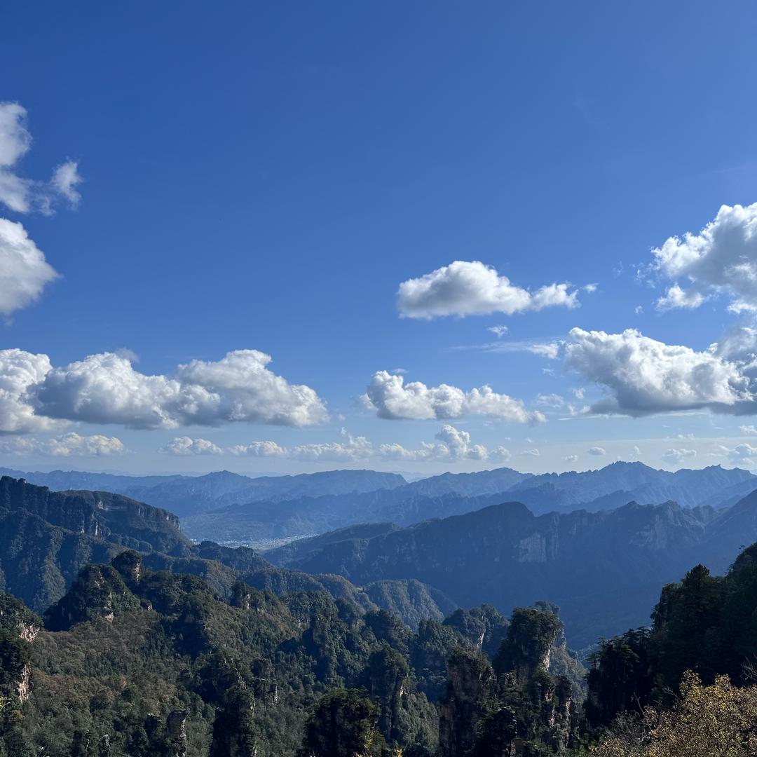 东海五星海琳（家电推荐官）