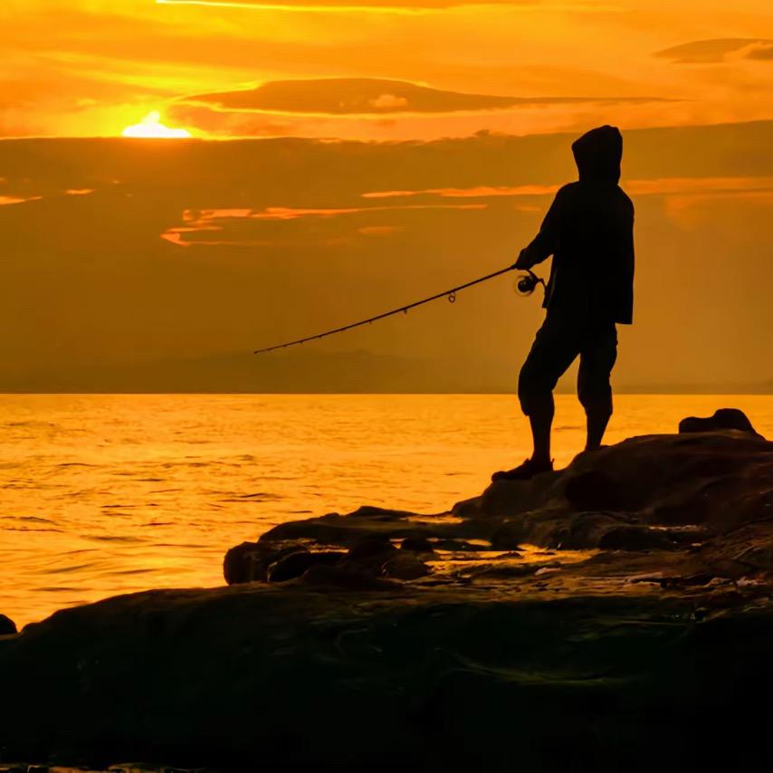 乔治巴顿🎣