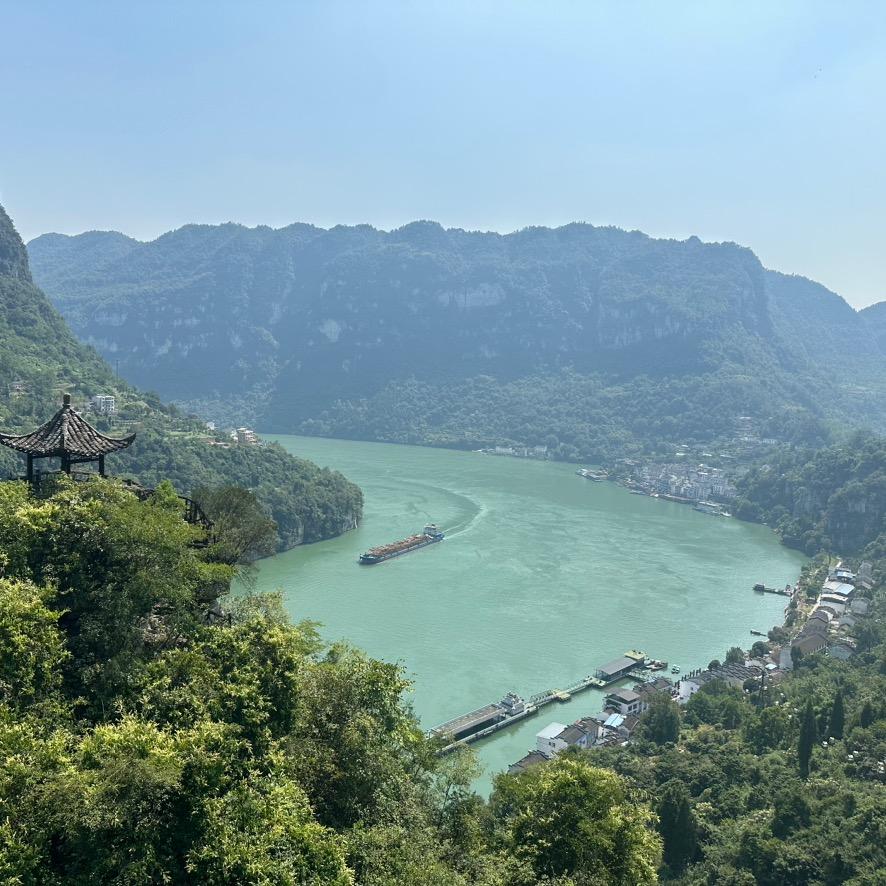 我要离开浪浪山……