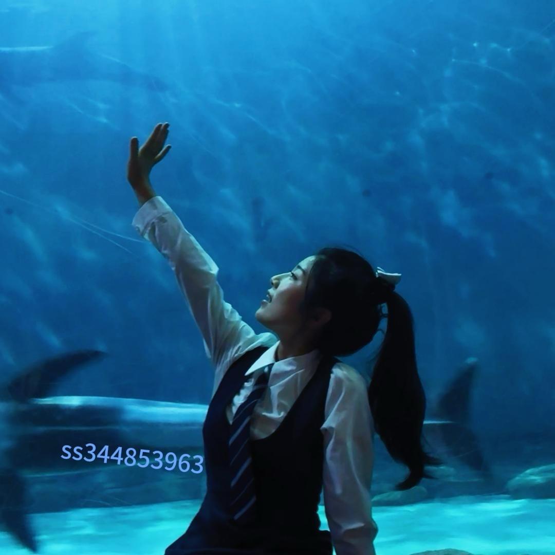 🍓长乔海洋公园福利官