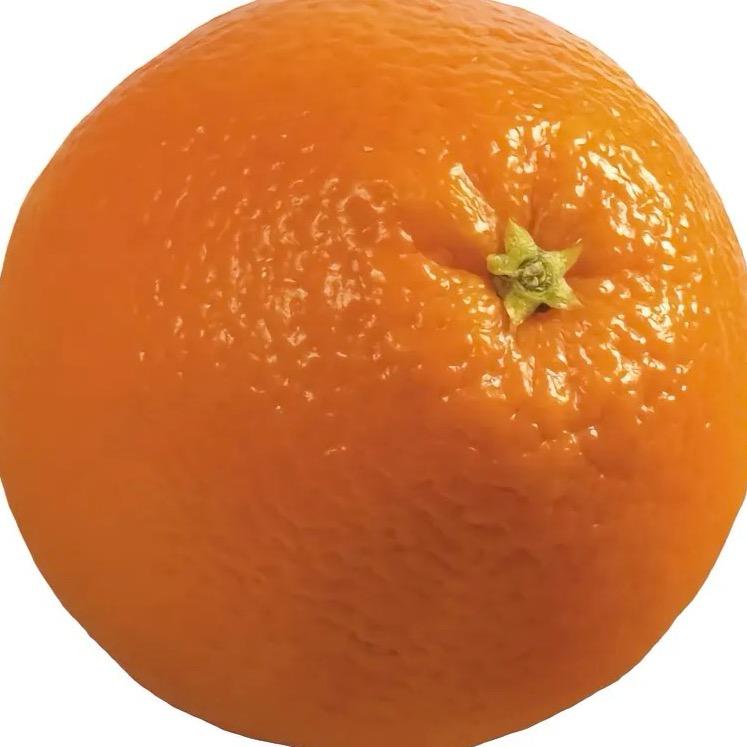 🍊橙 豆 了