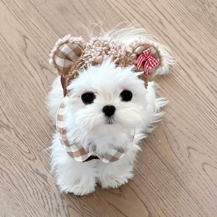youuuu