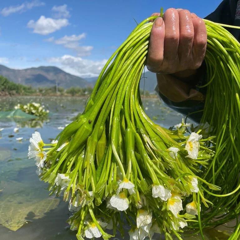 洱源邓川潇洁土特产店