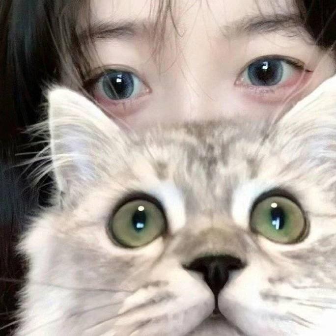 奶酪好吃