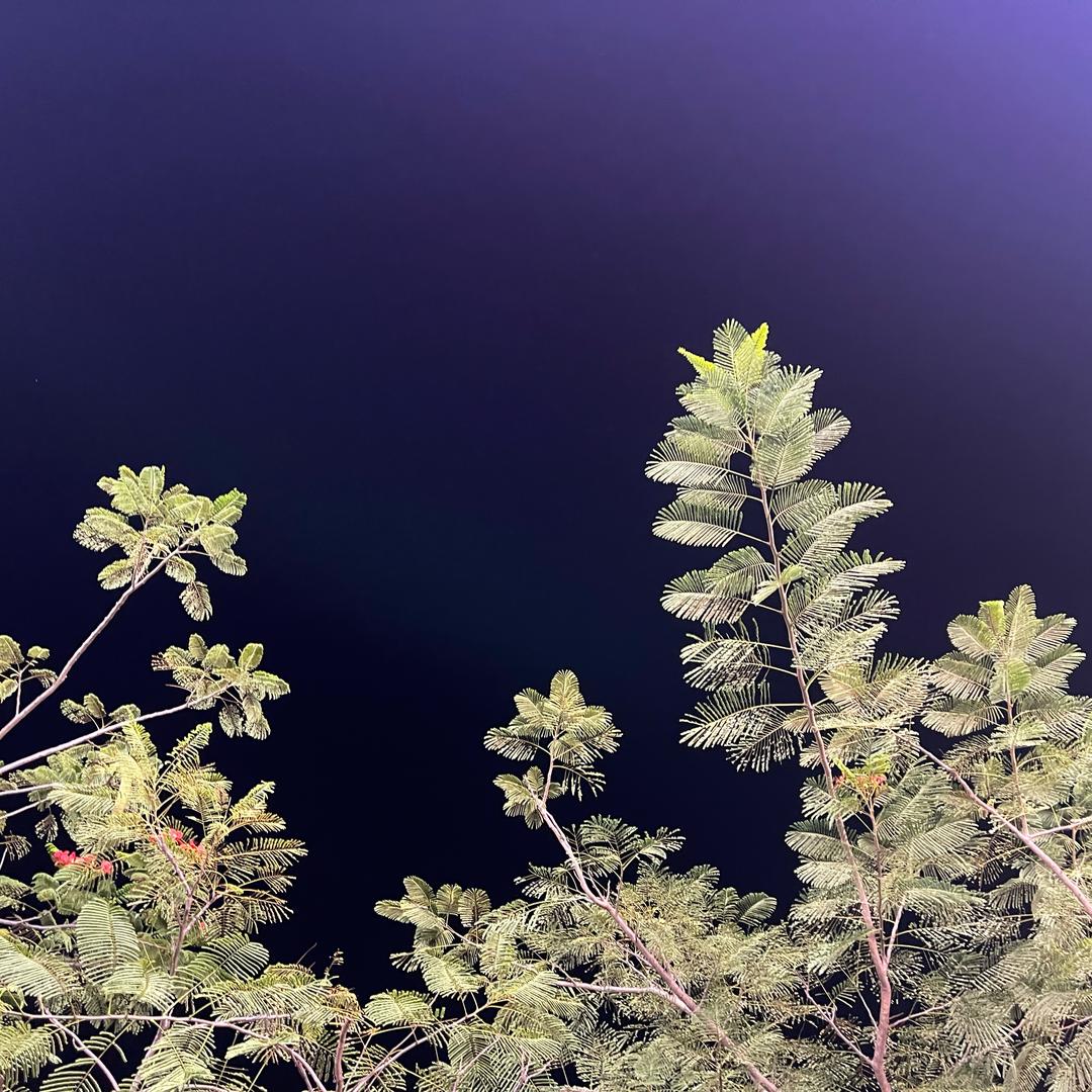 新疆烤肉（双卯金巷子）在哪