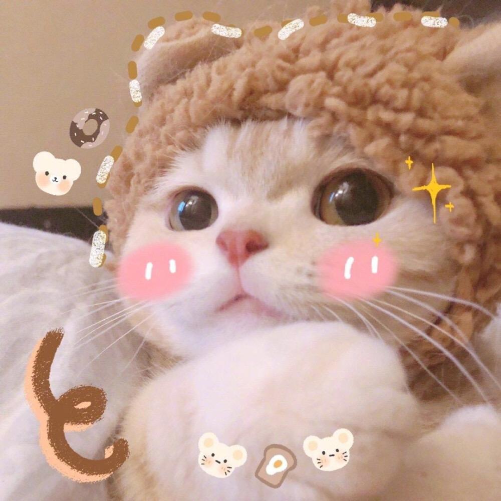 有人有渔