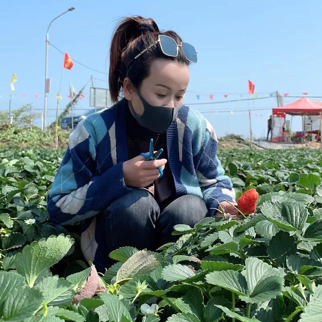 回不去的是童年