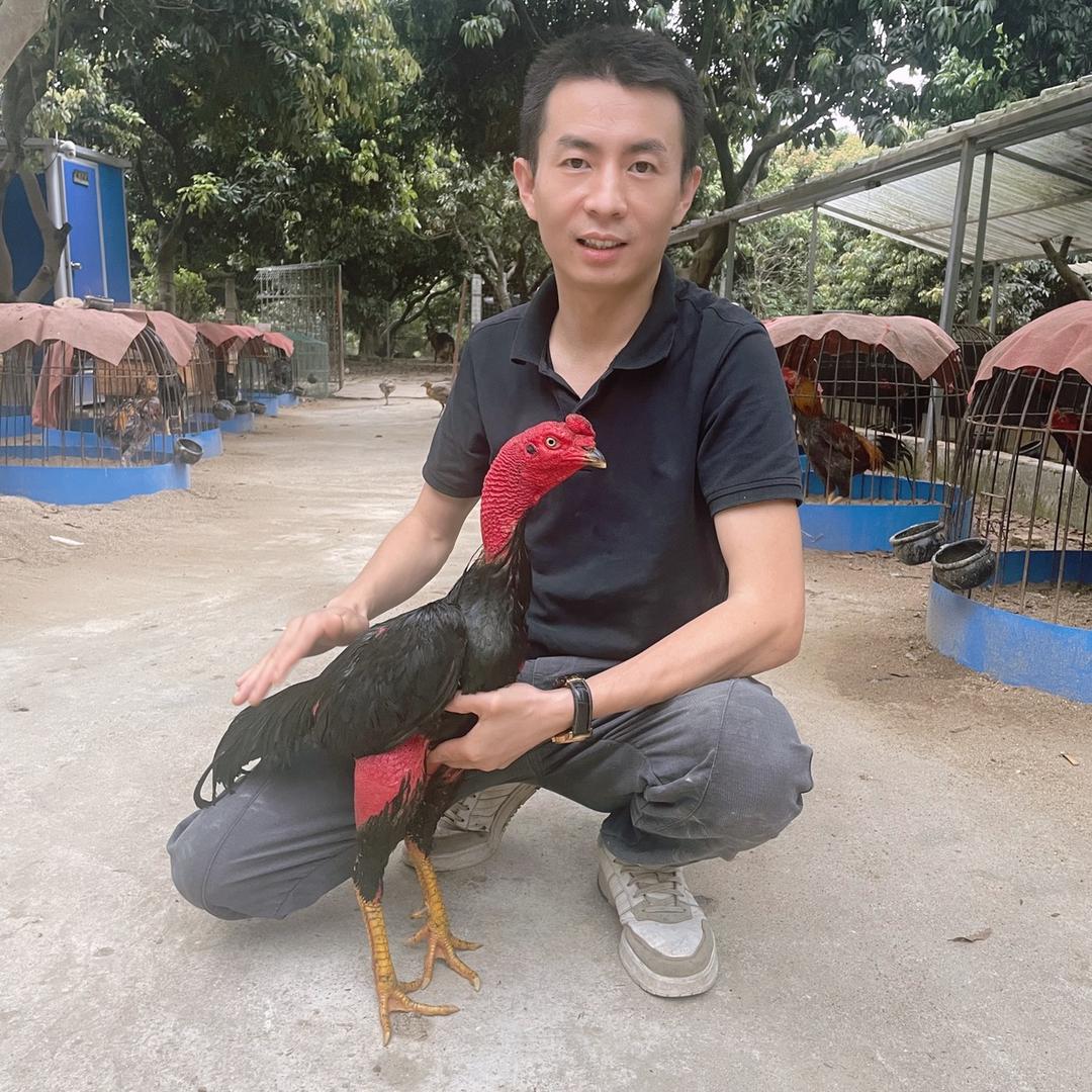 炼泉养殖场