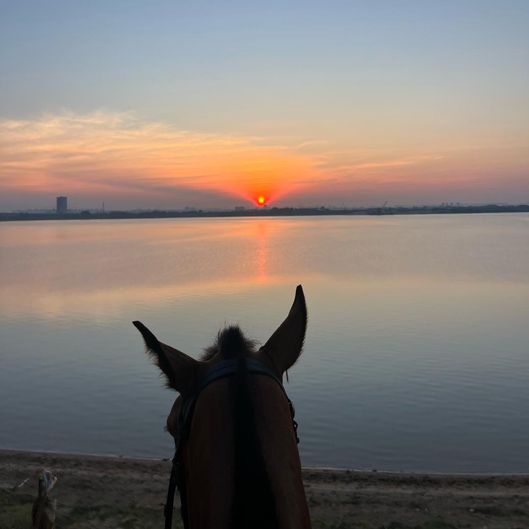 K🐎