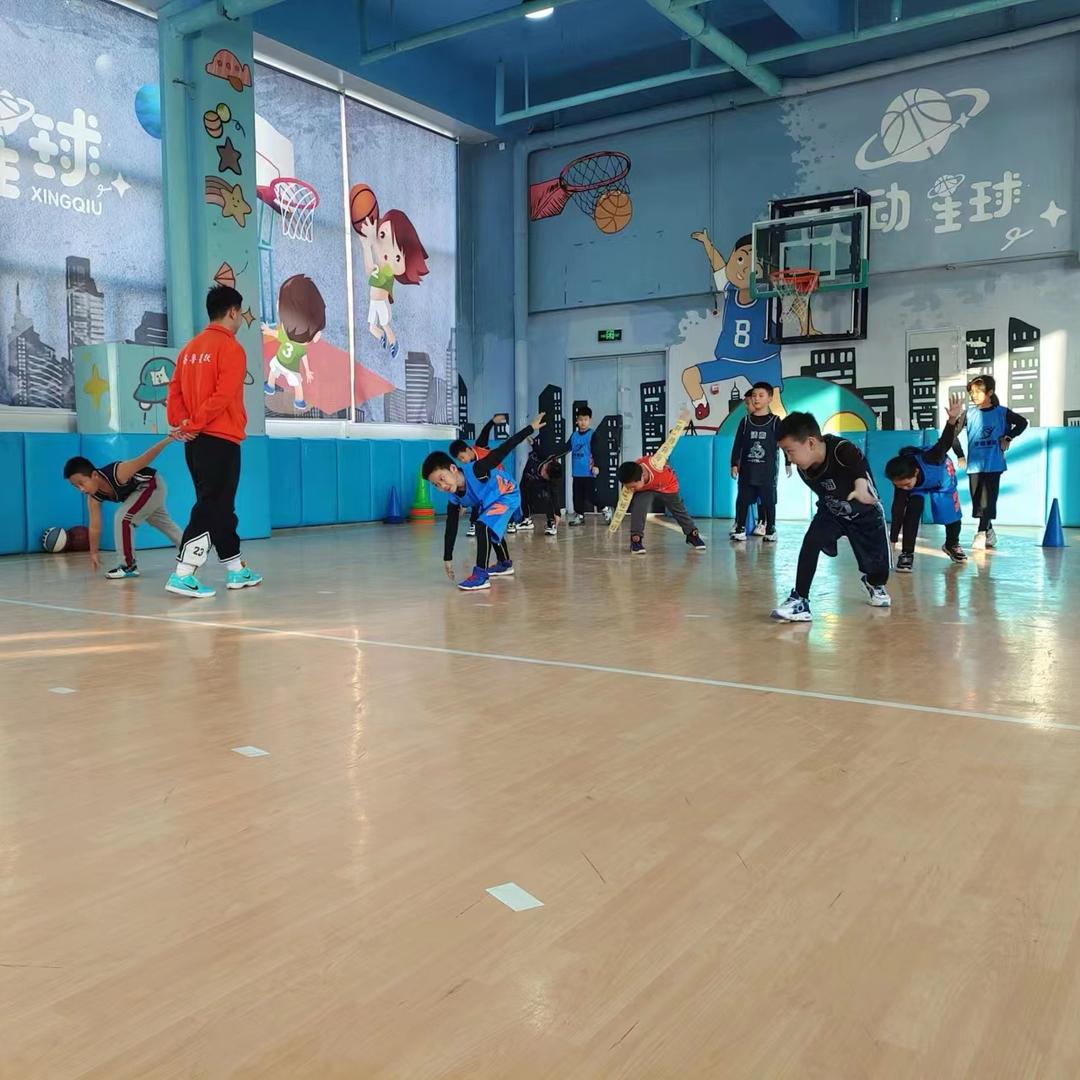 篮球引路人🏀