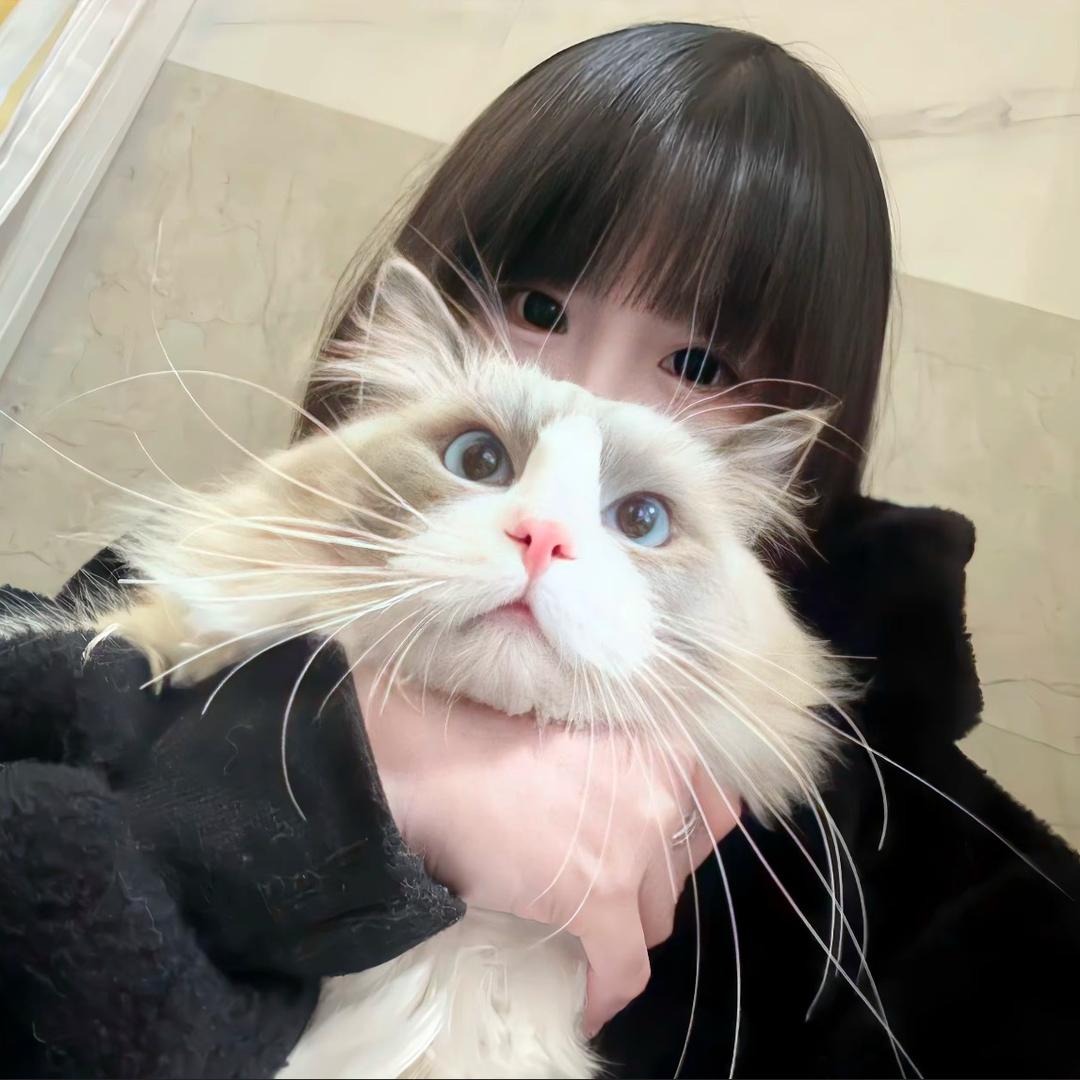 小娇妻.