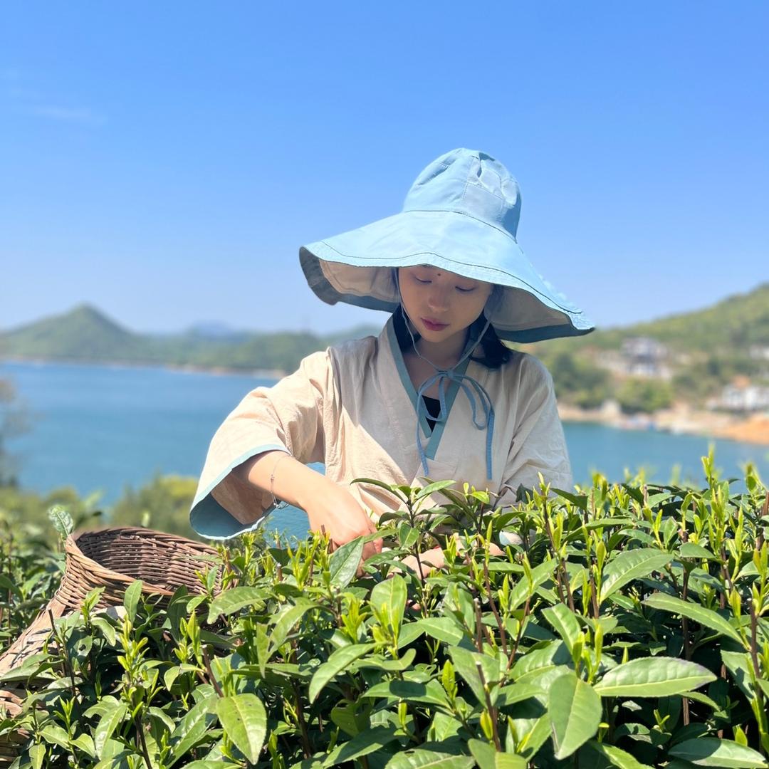 小茶妖
