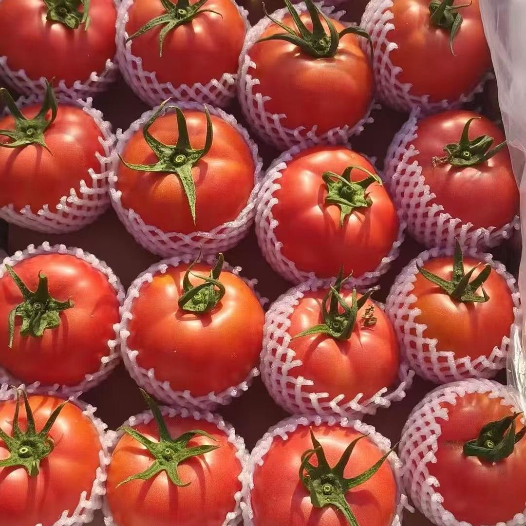 小幸运（水果西红柿农产品）