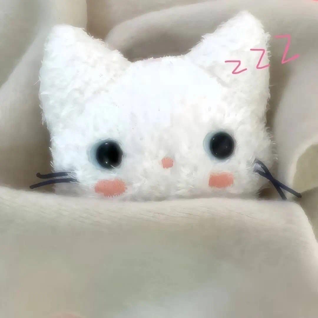 飞飞鱼