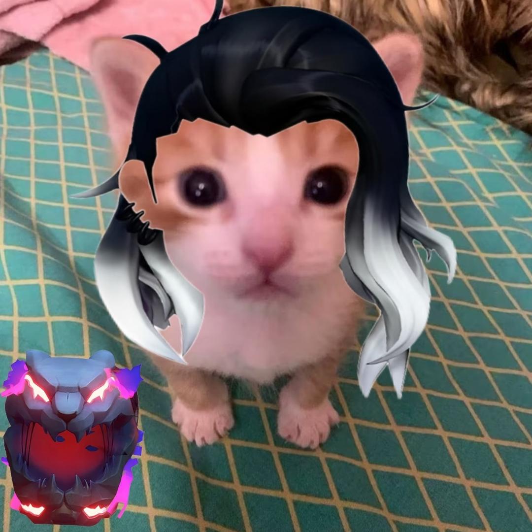 Dana15