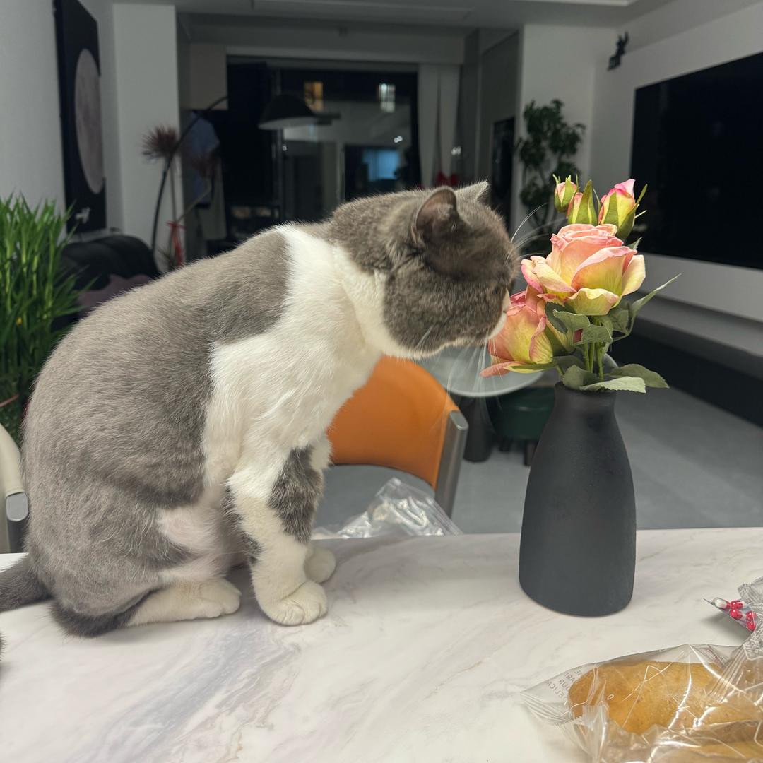 Lucky是个妈宝男