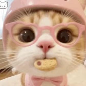 呆᳐᳐᳐᳐᳐᳐呆᳐᳐᳐᳐᳐᳐猪੭