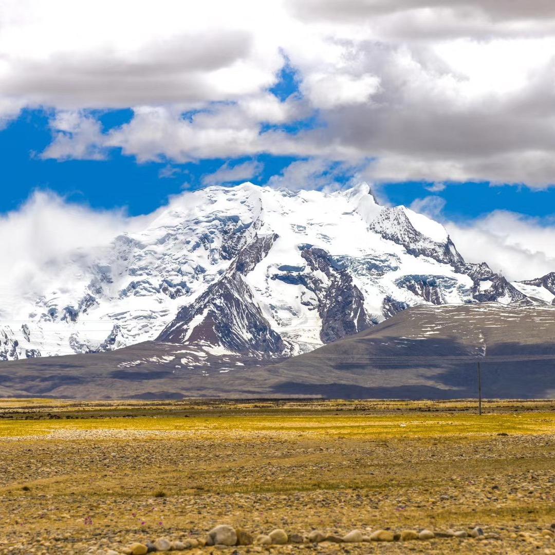 吹牛要跟牛商量