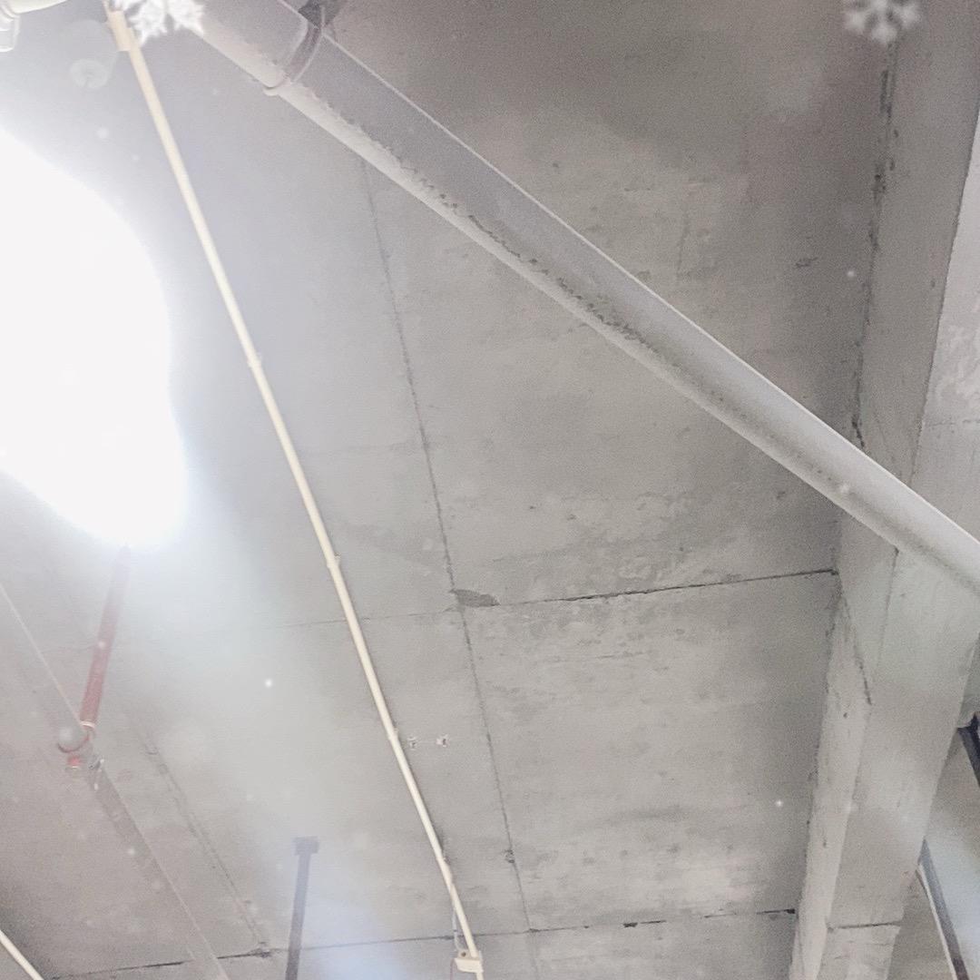 阿春只爱钱